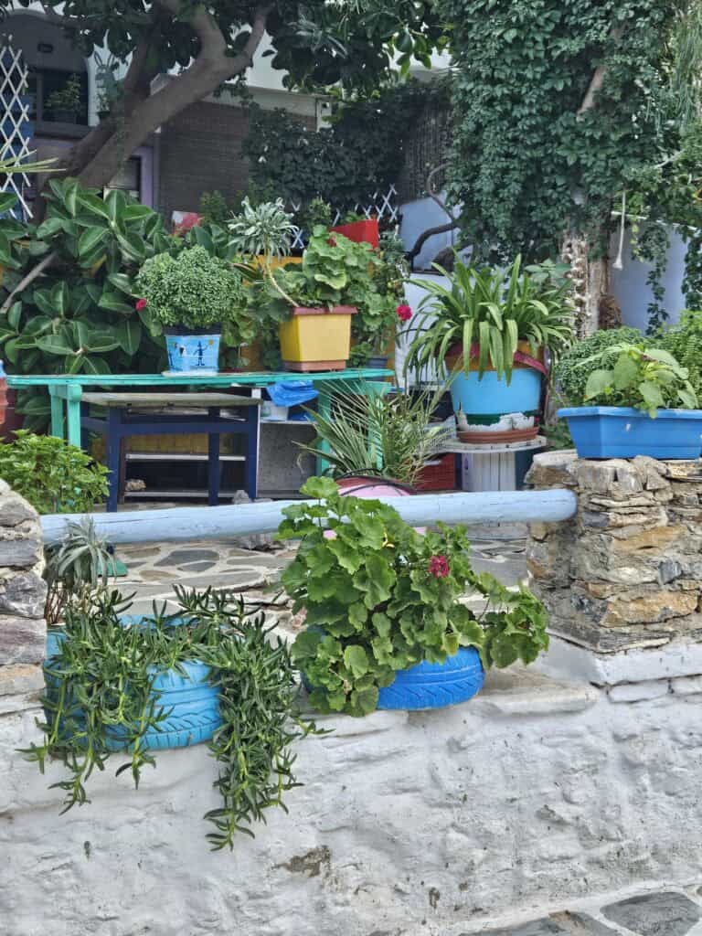 Grüner Garten für Psychotherapeutin Eva Pöttschachers Jugend-Angebote